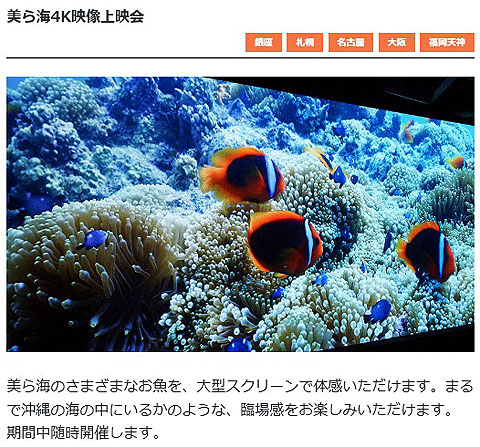 Sony-Aquarium-04.jpg